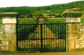 Clos des Perrières