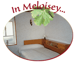 ...in Meloisey